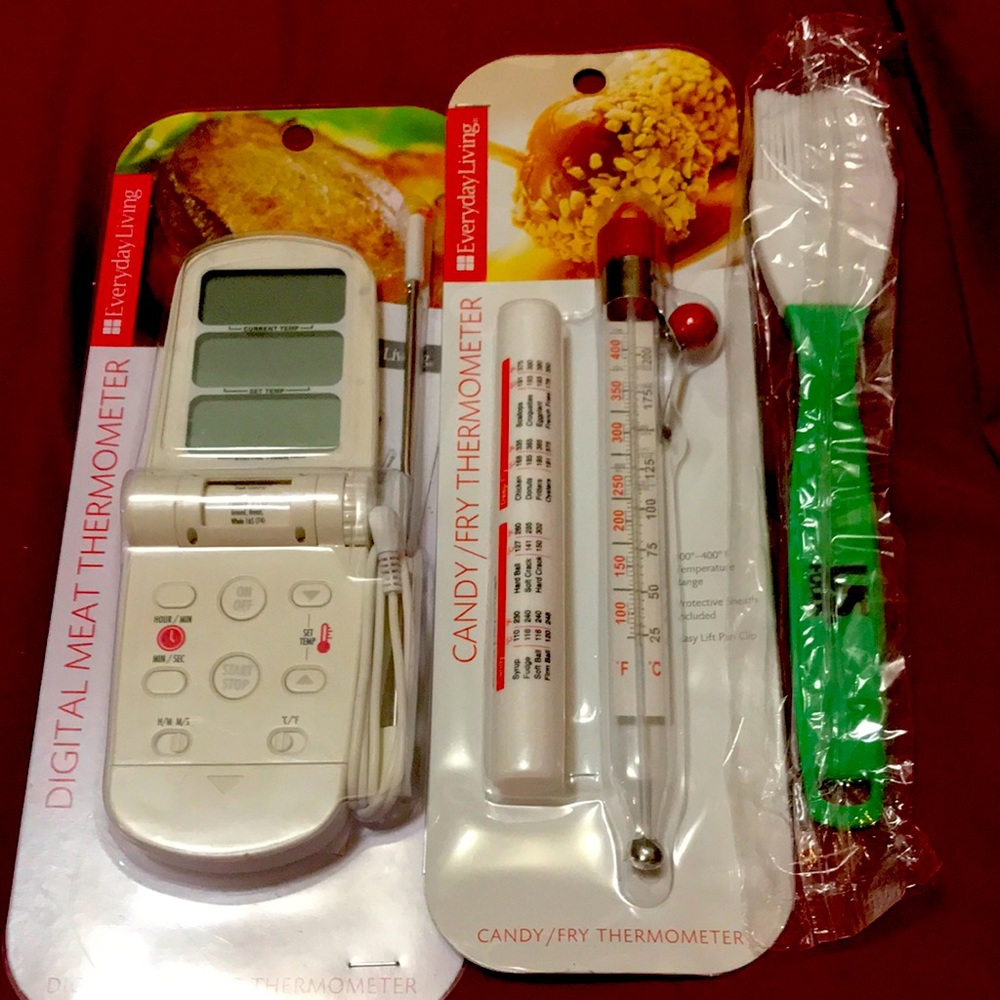 Thermometer and Baster set NWOT